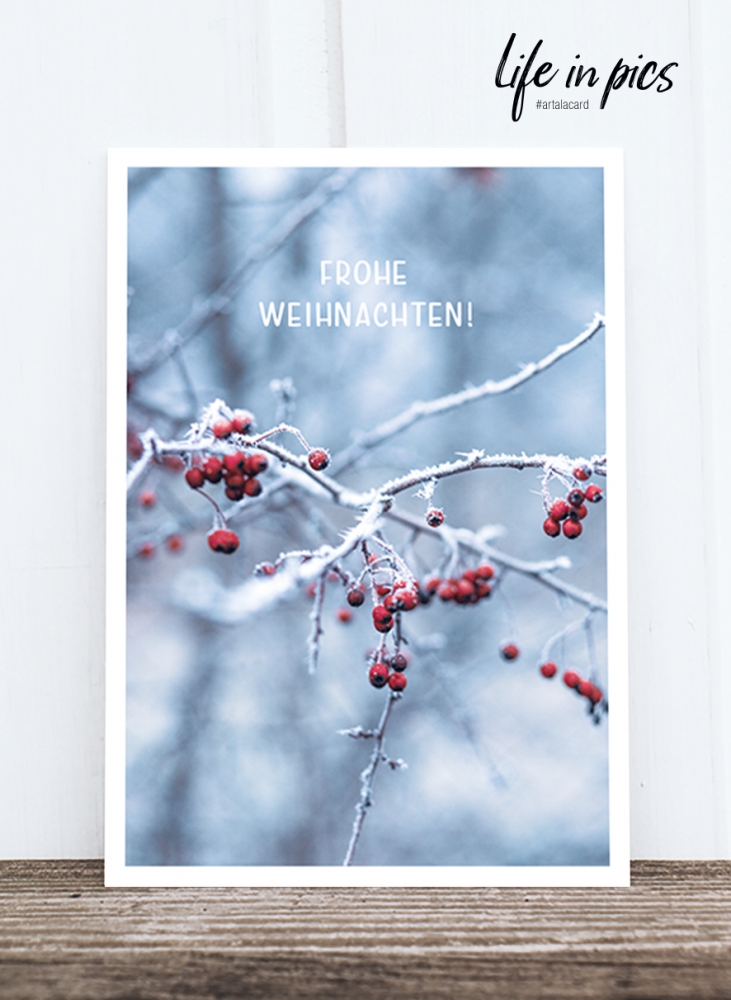 Bild 1 von Foto-Postkarte: Winter berries