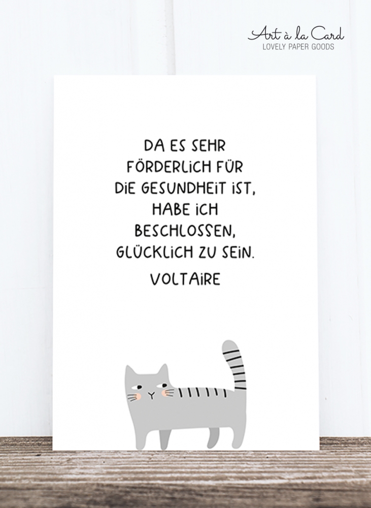 Bild 1 von Postkarte: Voltaire, Katze HF