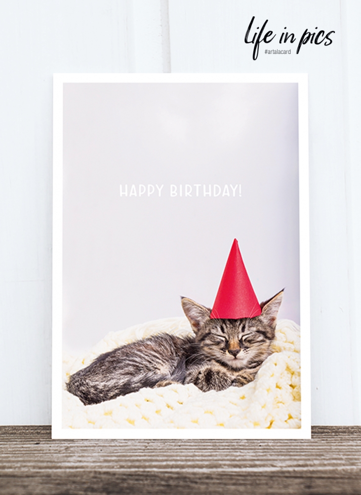 Bild 1 von Foto-Postkarte: Birthday cat