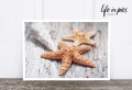 Foto-Postkarte: Starfish