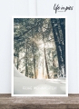 Foto-Postkarte: Winter forest