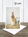 Foto-Klappkarte: Birthday dog
