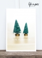 Foto-Postkarte: Mini trees