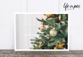 Foto-Postkarte: Half christmas tree