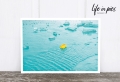 Foto-Postkarte: Icefish