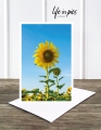 Foto-Klappkarte: Sunflower