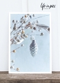 Foto-Postkarte: Pinecone pendant